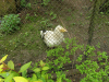 sam_9343