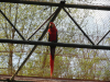 sam_9472