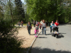 sam_9481