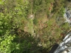 sam_6918