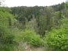 sam_6925