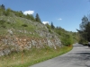 sam_6947