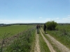 sam_6957
