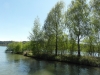 sam_6972